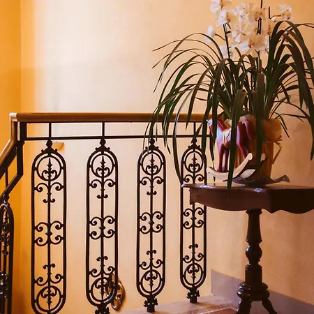 Bed & Breakfast Agnese